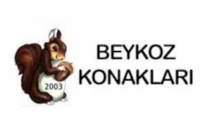 Aydoğdu Şömine Referanslar
